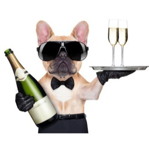 services page banner