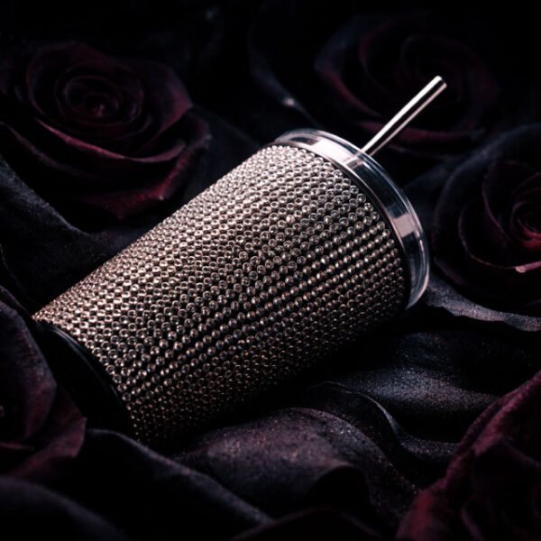 Silver Stainless Tumbler w Straw