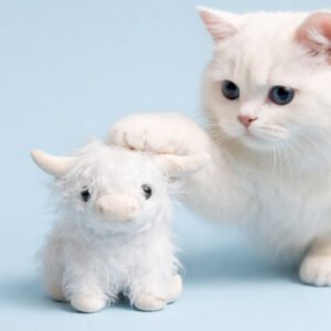 White Highland Cow