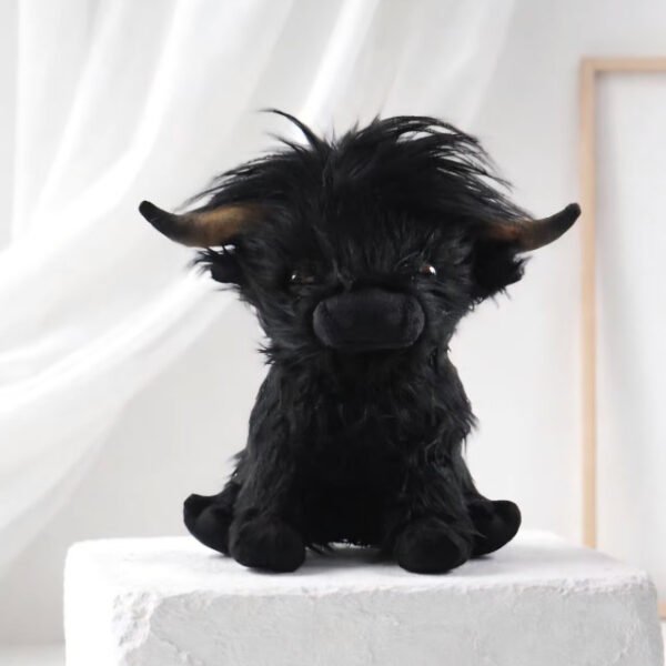 Black Highland Cow