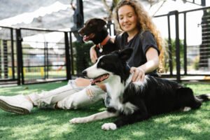How Much Does Dog Daycare Cost in Las Vegas? (2026 Guide)