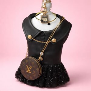 Blk leather sequin dress and LV crossbody purse