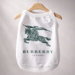 Burberry sun dress