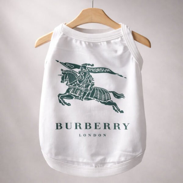 Burberry sun dress