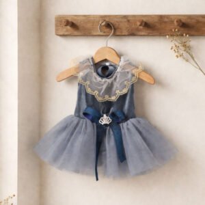 Velvet princess dress